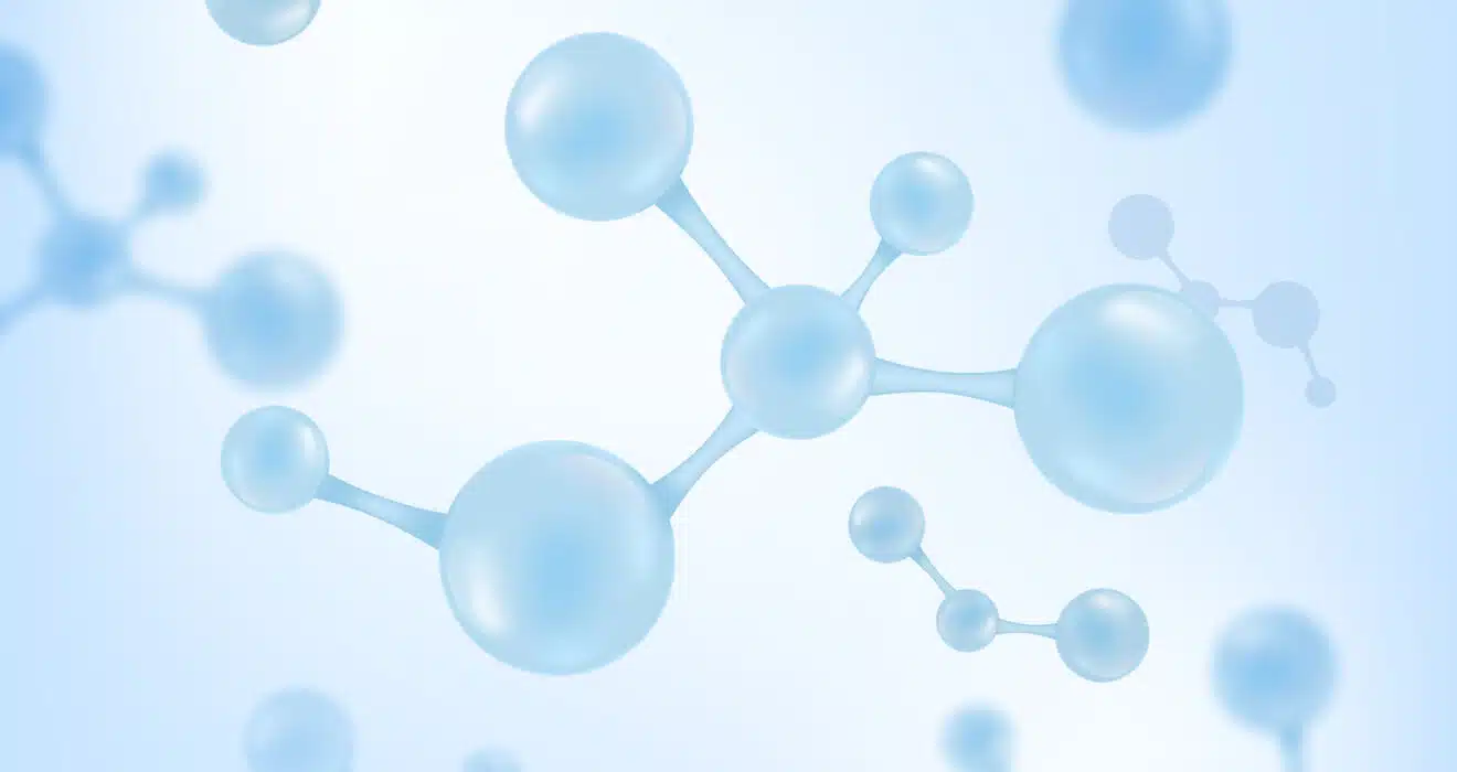 Lactic Acid Suppliers